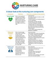 NUTURING CARE FRAMEWORK SUMMARY
