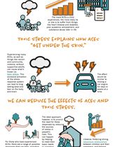 Trauma Informed Infographic